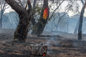 Crib Point Fire 2 029